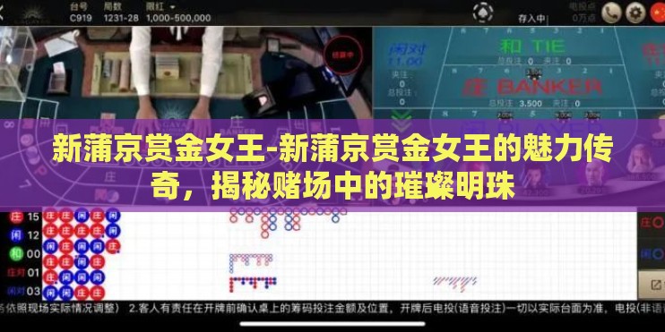 新蒲京赏金女王-新蒲京赏金女王的魅力传奇，揭秘赌场中的璀璨明珠