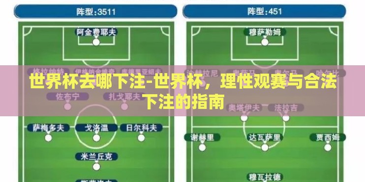 世界杯去哪下注-世界杯，理性观赛与合法下注的指南