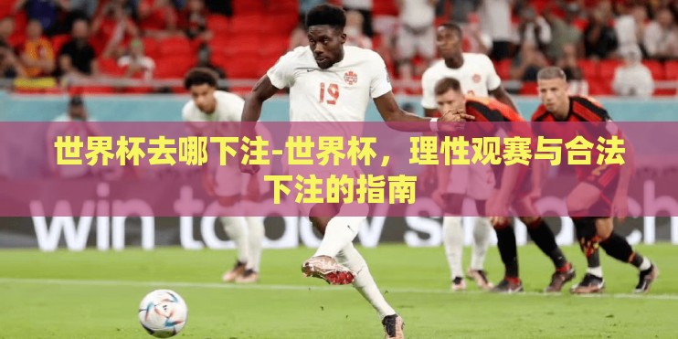 世界杯去哪下注-世界杯，理性观赛与合法下注的指南