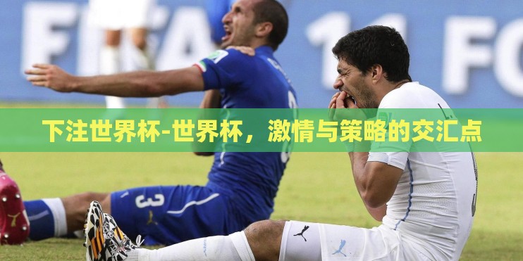 下注世界杯-世界杯，激情与策略的交汇点