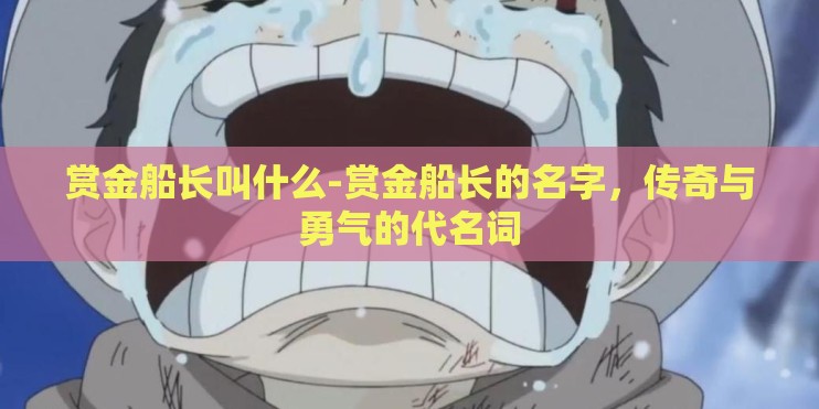 赏金船长叫什么-赏金船长的名字,传奇与勇气的代名词 赏金船长叫什么-赏金船长的名字,传奇与勇气的代名词