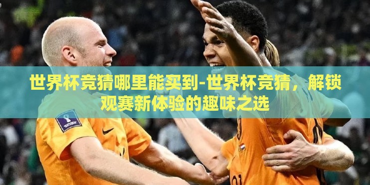 世界杯竞猜哪里能买到-世界杯竞猜，解锁观赛新体验的趣味之选