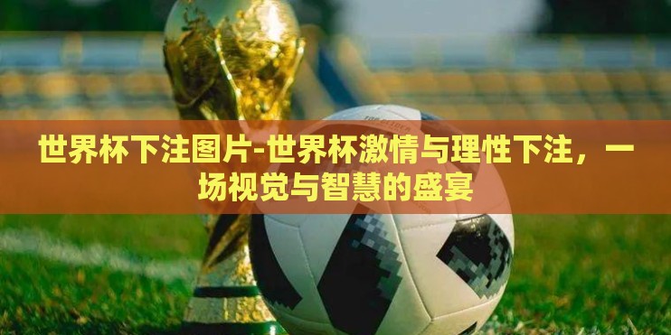 世界杯下注图片-世界杯激情与理性下注，一场视觉与智慧的盛宴
