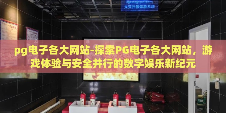 pg电子各大网站-探索PG电子各大网站，游戏体验与安全并行的数字娱乐新纪元