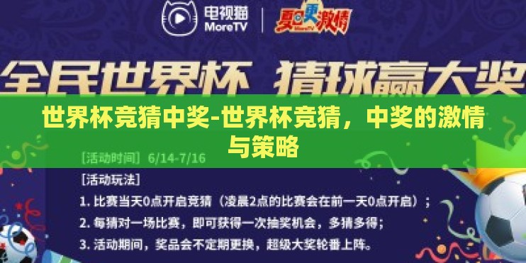 世界杯竞猜中奖-世界杯竞猜，中奖的激情与策略