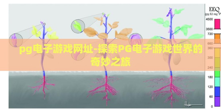 pg电子游戏网址-探索PG电子游戏世界的奇妙之旅
