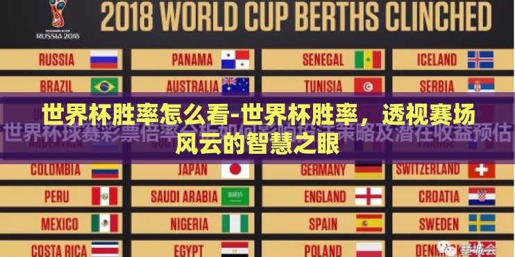 世界杯胜率怎么看-世界杯胜率，透视赛场风云的智慧之眼