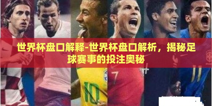 世界杯盘口解释-世界杯盘口解析，揭秘足球赛事的投注奥秘