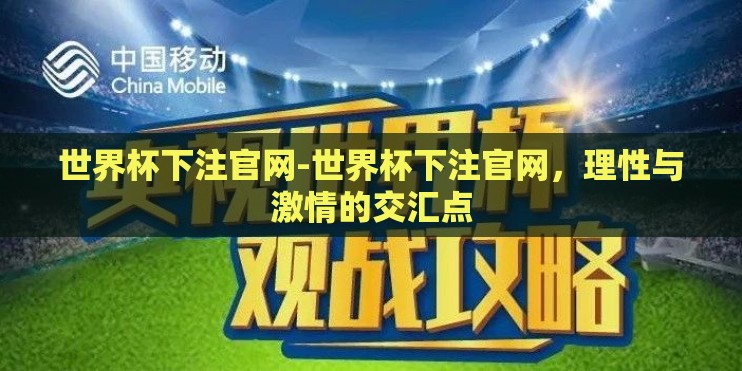 世界杯下注官网-世界杯下注官网，理性与激情的交汇点
