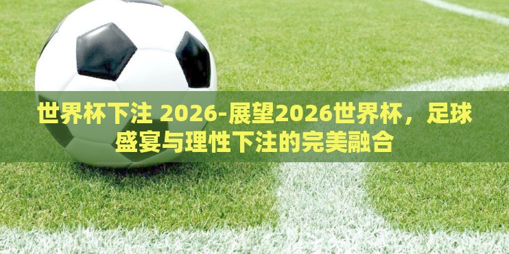 世界杯下注 2026-展望2026世界杯,足球盛宴与理性下注的完美融合 世界杯下注 2026-展望2026世界杯,足球盛宴与理性下注的完美融合