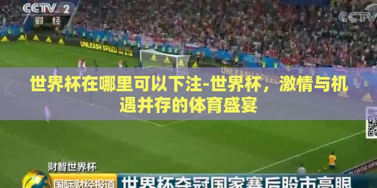 世界杯在哪里可以下注-世界杯，激情与机遇并存的体育盛宴