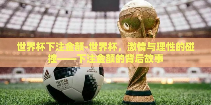世界杯下注金额-世界杯，激情与理性的碰撞——下注金额的背后故事