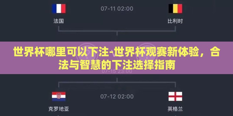 世界杯哪里可以下注-世界杯观赛新体验，合法与智慧的下注选择指南