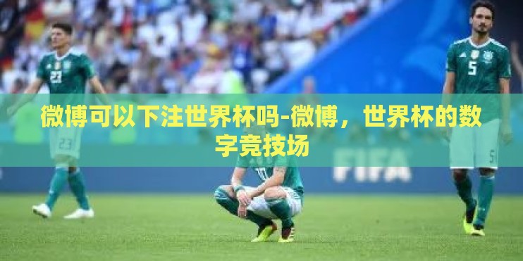 微博可以下注世界杯吗-微博，世界杯的数字竞技场