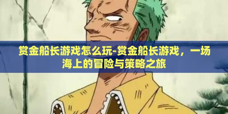 赏金船长游戏怎么玩-赏金船长游戏，一场海上的冒险与策略之旅