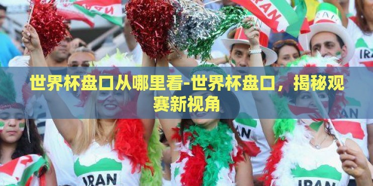 世界杯盘口从哪里看-世界杯盘口，揭秘观赛新视角