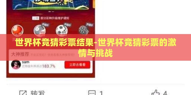 世界杯竞猜彩票结果-世界杯竞猜彩票的激情与挑战