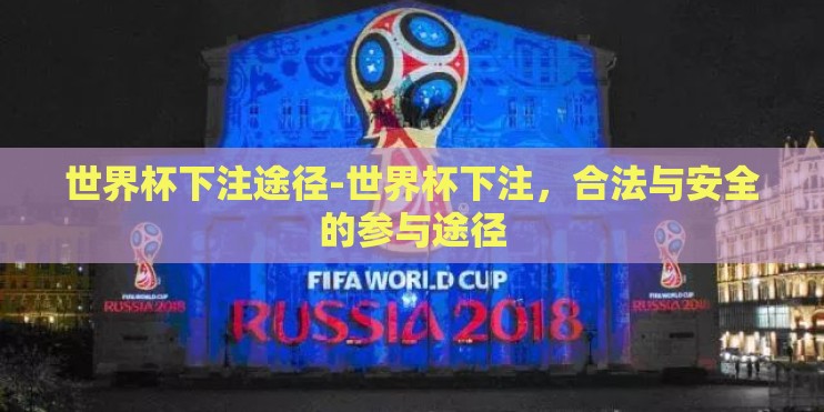世界杯下注途径-世界杯下注，合法与安全的参与途径
