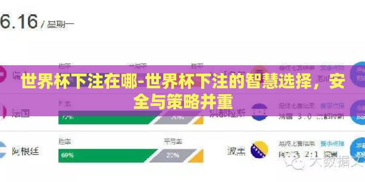 世界杯下注在哪-世界杯下注的智慧选择，安全与策略并重