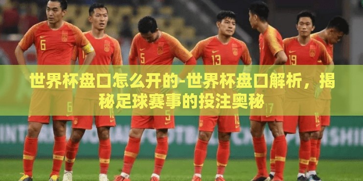 世界杯盘口怎么开的-世界杯盘口解析，揭秘足球赛事的投注奥秘