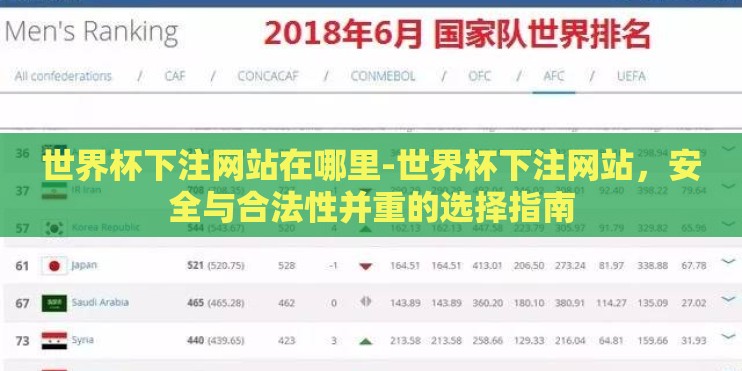 世界杯下注网站在哪里-世界杯下注网站，安全与合法性并重的选择指南