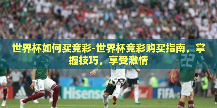 世界杯如何买竞彩-世界杯竞彩购买指南，掌握技巧，享受激情